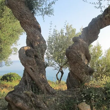 Casa Velina Casa vacanze